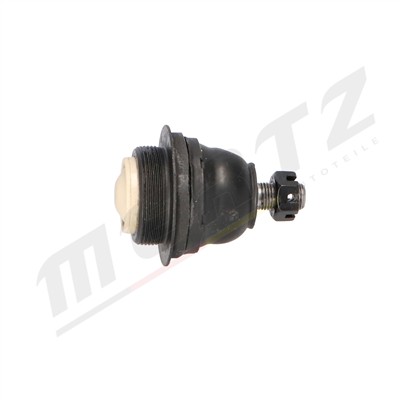 Mertz M-S2564 EAN: 5906125608631.