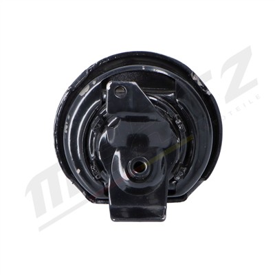 Mertz M-S4161 EAN: 5902701046415.