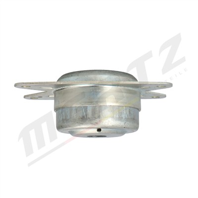 Mertz M-S4613 EAN: 5902701050931.