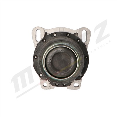 Mertz M-S4877 EAN: 5907714141898.