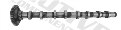 MOTIVE T4341 EAN: 0.