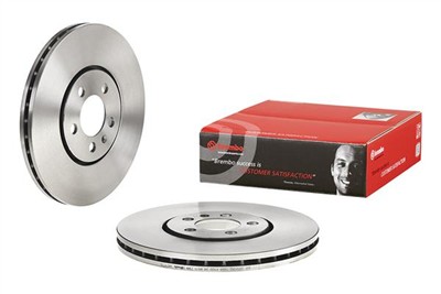 BREMBO 09.6747.10 EAN: 8020584674710.