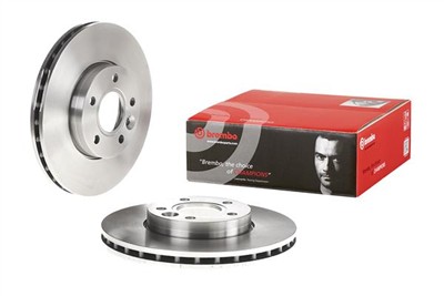 BREMBO 09.A905.10 EAN: 8020584033524.