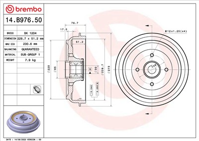BREMBO 14.B976.50 EAN: 8020584325223.