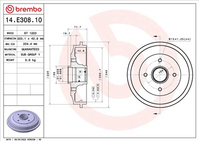 BREMBO 14.E308.10 EAN: 8020584325834.
