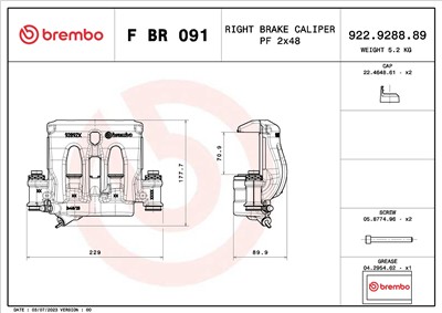 BREMBO F BR 091 EAN: 8020584548974.