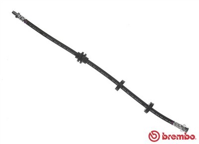 BREMBO T 23 184 EAN: 8432509648360.