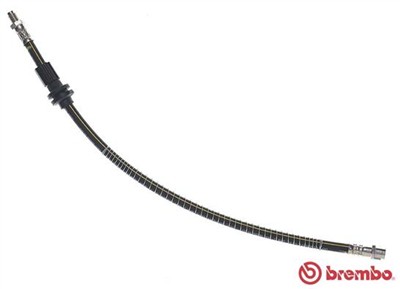 BREMBO T 50 066 EAN: 8432509655481.