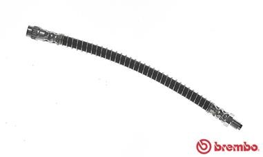 BREMBO T 56 146 EAN: 8432509650134.