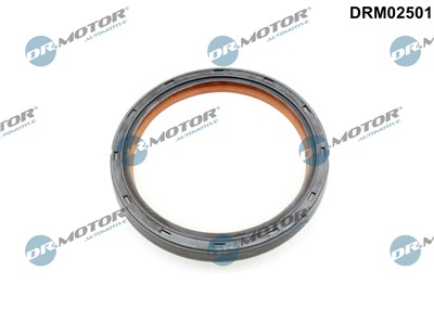 Dr.Motor Automotive DRM02501 EAN: 5904639638199.