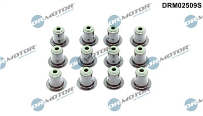 Dr.Motor Automotive DRM02509S