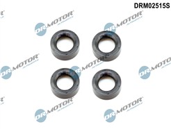 Dr.Motor Automotive DRM02515S