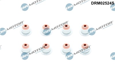 Dr.Motor Automotive DRM02524S EAN: 5904639638427.