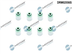 Dr.Motor Automotive DRM02556S