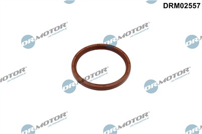 Dr.Motor Automotive DRM02557