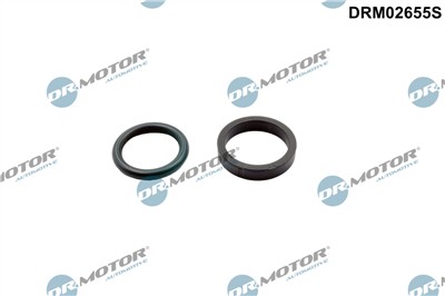 Dr.Motor Automotive DRM02655S EAN: 5904639640062.