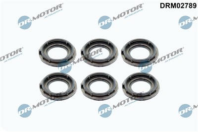 Dr.Motor Automotive DRM02789 EAN: 5904639644862.