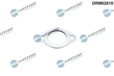 Dr.Motor Automotive DRM02810 EAN: 5904639645098.
