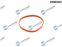 Dr.Motor Automotive DRM02905