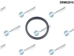 Dr.Motor Automotive DRM02910