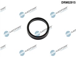Dr.Motor Automotive DRM02915