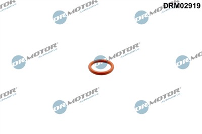 Dr.Motor Automotive DRM02919 EAN: 5904639646439.