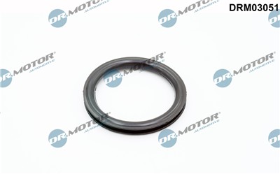Dr.Motor Automotive DRM03051 EAN: 5904639648976.