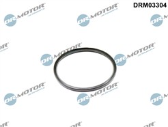 Dr.Motor Automotive DRM03304