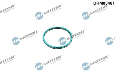 Dr.Motor Automotive DRM03481 EAN: 5904639660114.