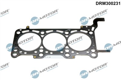 Dr.Motor Automotive DRM300231 EAN: 5904639655349.