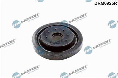 Dr.Motor Automotive DRM6925R