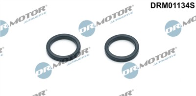 Dr.Motor Automotive DRM01134S EAN: 5903672745604.