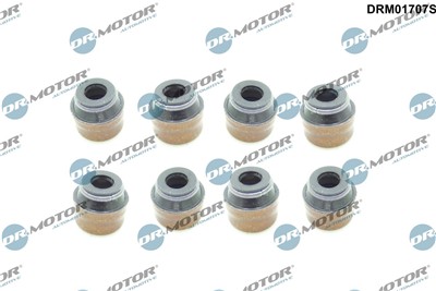 Dr.Motor Automotive DRM01707S EAN: 5904639607706.