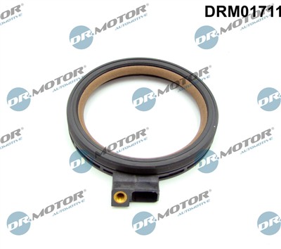 Dr.Motor Automotive DRM01711 EAN: 5904639607935.