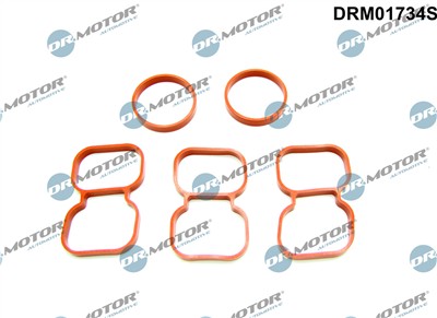 Dr.Motor Automotive DRM01734S EAN: 5904639608161.