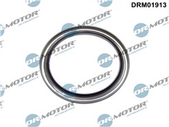 Dr.Motor Automotive DRM01913
