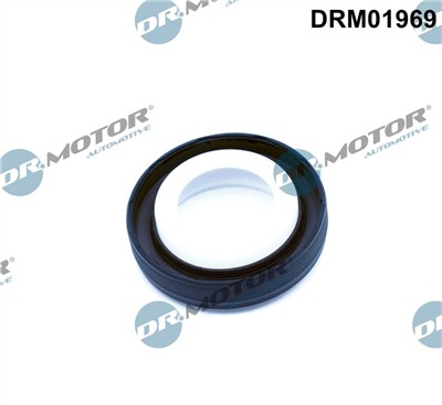 Dr.Motor Automotive DRM01969 EAN: 5904639625663.