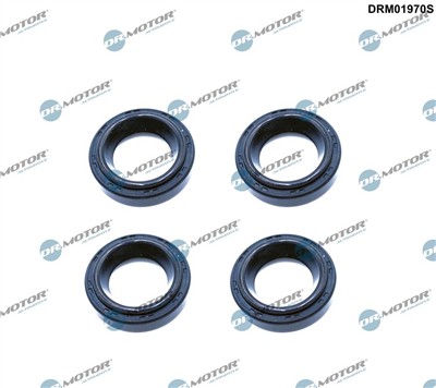 Dr.Motor Automotive DRM01970S EAN: 5904639625670.