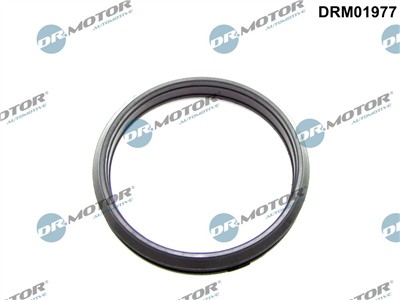 Dr.Motor Automotive DRM01977 EAN: 5904639625991.