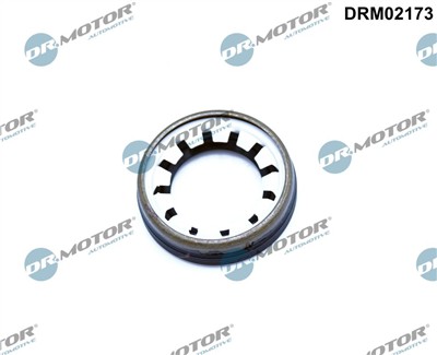 Dr.Motor Automotive DRM02173 EAN: 5904639628565.