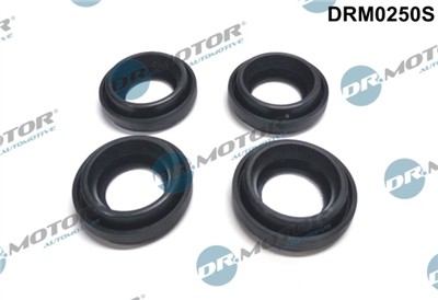 Dr.Motor Automotive DRM0250S EAN: 5902425074350.