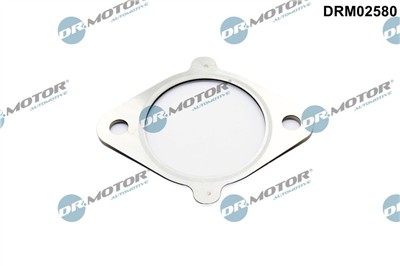 Dr.Motor Automotive DRM02580 EAN: 5904639639288.