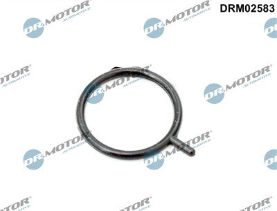 Dr.Motor Automotive DRM02583 EAN: 5904639639318.
