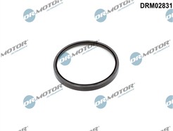 Dr.Motor Automotive DRM02831