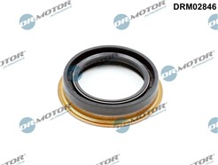 Dr.Motor Automotive DRM02846