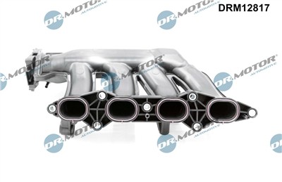 Dr.Motor Automotive DRM12817 EAN: 5904639623966.