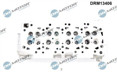 Dr.Motor Automotive DRM13406 EAN: 5904639640697.