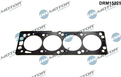 Dr.Motor Automotive DRM15225 EAN: 5904639607621.