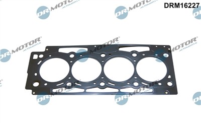 Dr.Motor Automotive DRM16227 EAN: 5904639626639.