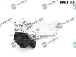 Dr.Motor Automotive DRM211124